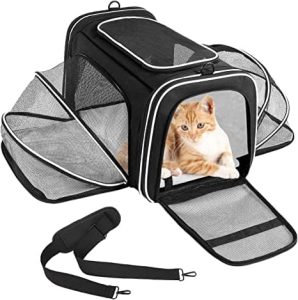 Sac de transport chat